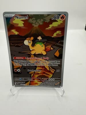 Sale 28442629
