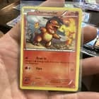 Sale 27018150