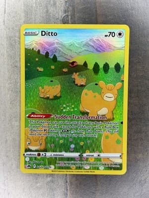 Sale 28504265