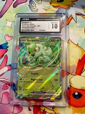 Sale 28529063