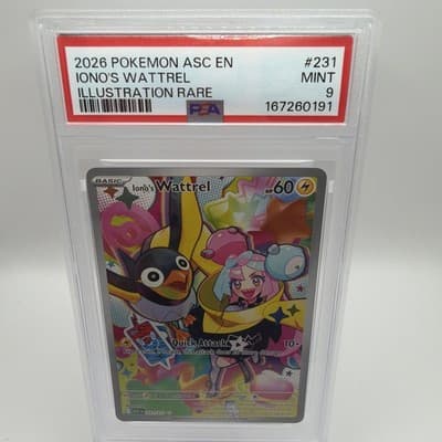 Sale 28442520