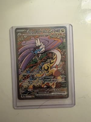 Sale 28411204