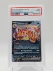 Sale 27902821
