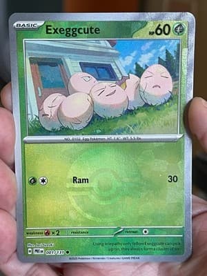 Sale 28160634