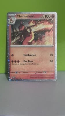 Sale 28230079