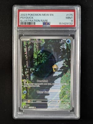 Sale 28510017