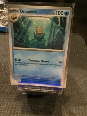 Sale 28225046
