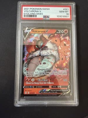 Sale 28172103
