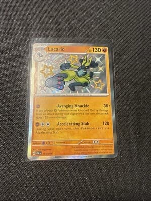Sale 28248004