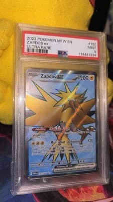 Sale 28448804