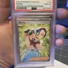 Sale 27831701