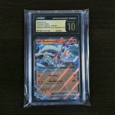 Sale 28185300
