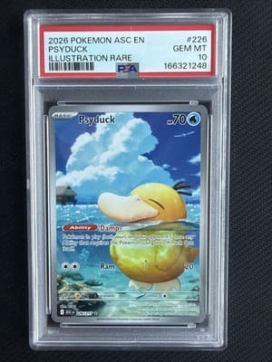 Sale 28458369