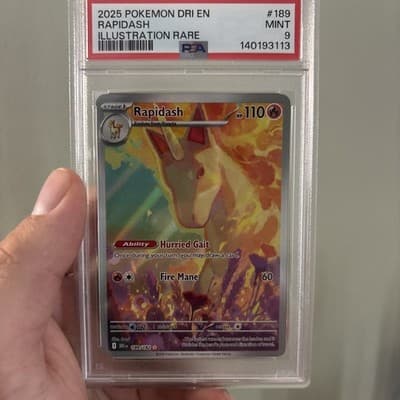 Sale 28355581