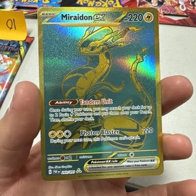 Sale 28248100
