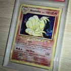 Sale 27085487