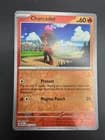 Sale 27935884