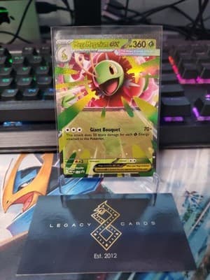 Sale 28475048