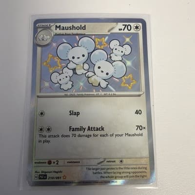 Sale 28248001