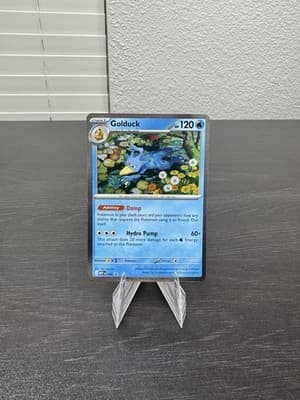 Sale 28494950