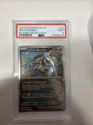 Sale 25874043