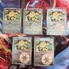 Sale 27019048