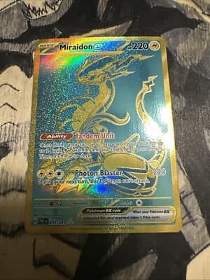 Sale 28248104