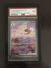 Sale 28105028