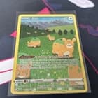 Sale 27944977
