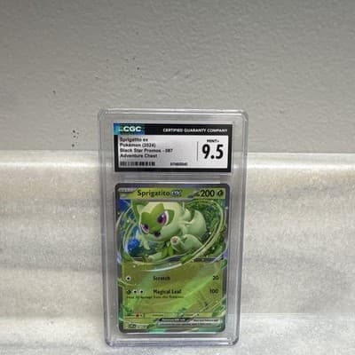 Sale 28509049