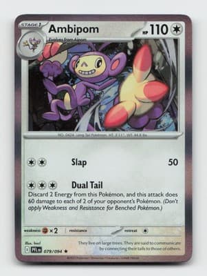 Sale 28241300
