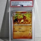 Sale 27931532