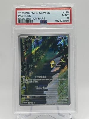 Sale 28425201