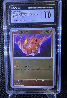 Sale 28223437