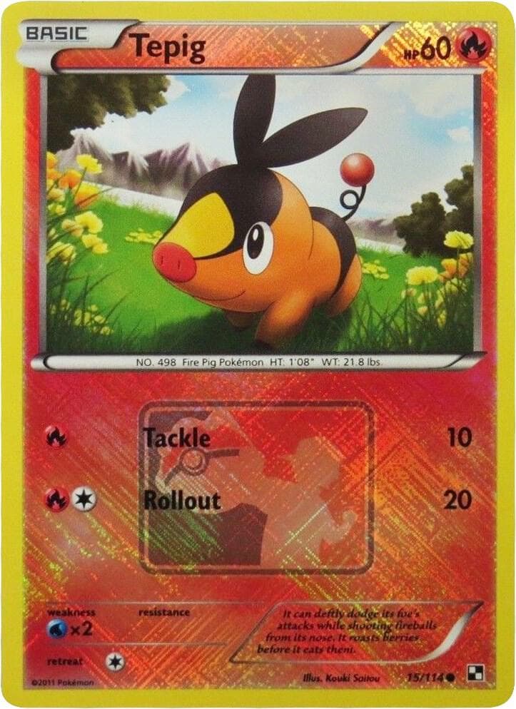 Tepig