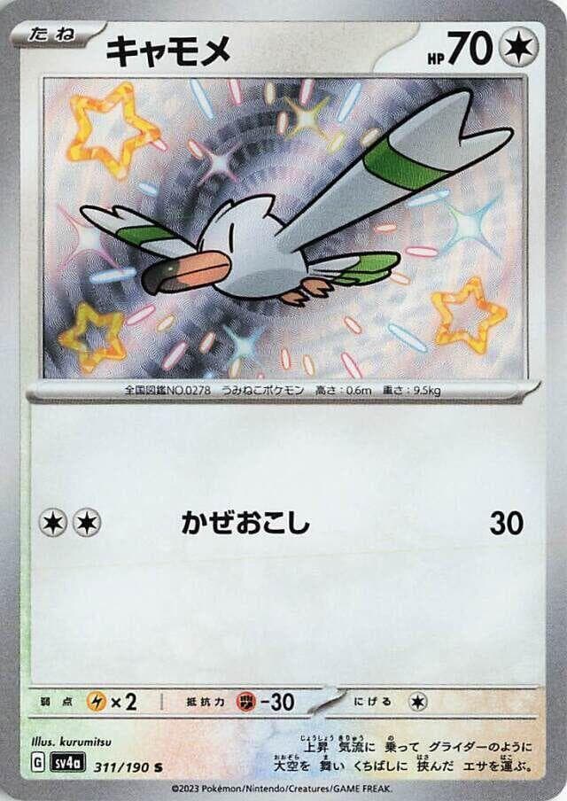 Wingull