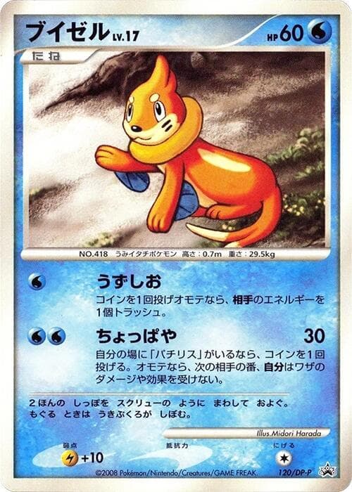 Buizel