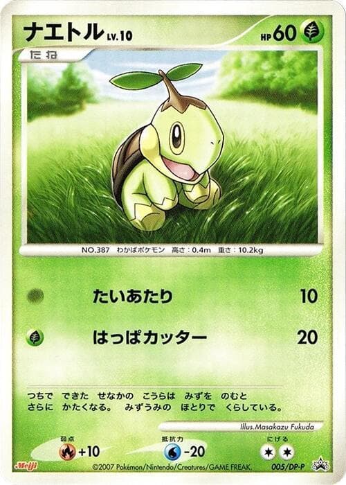 Turtwig