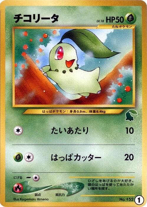 Chikorita