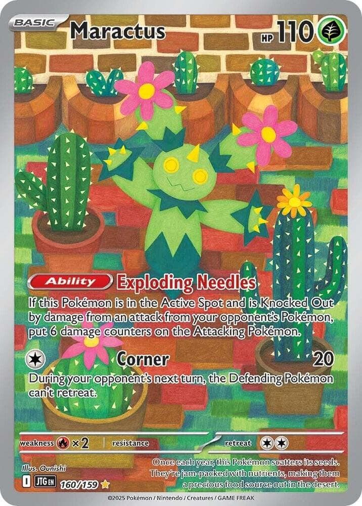 Maractus