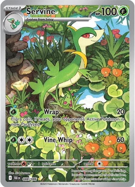snivy pokemon card value (BW01) [First Partner Pack] – Plug the official authentication and grading ensure this card remains a verified mainstay of your growing collection. Snivy #1 Prices | Pokemon