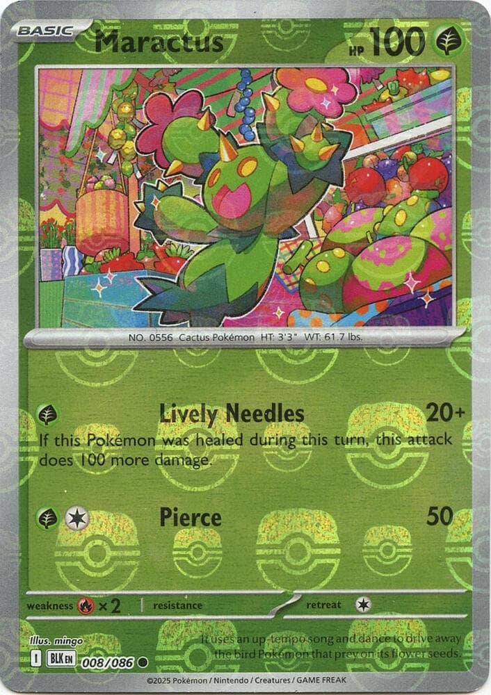 Maractus