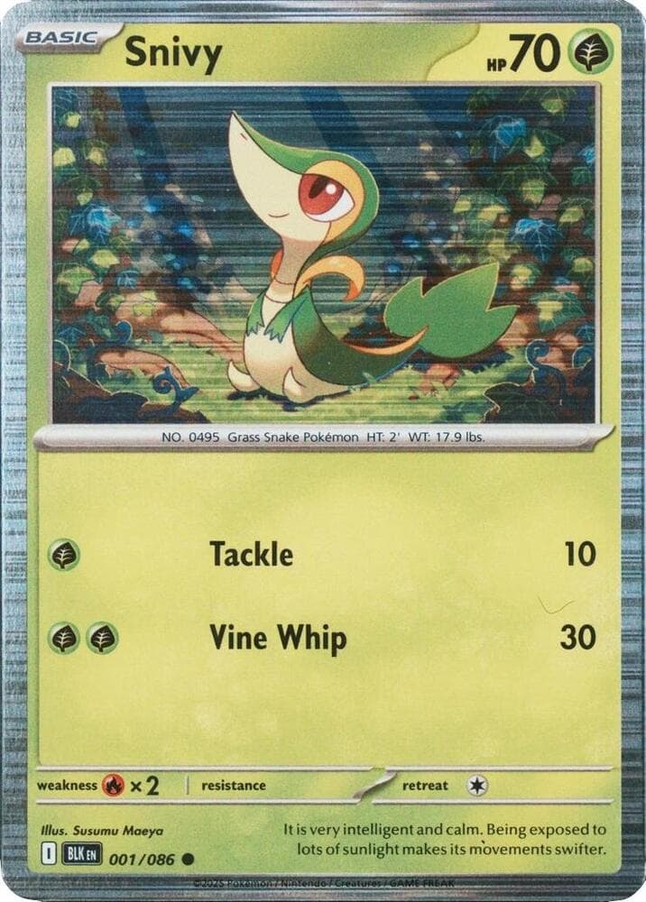 Snivy