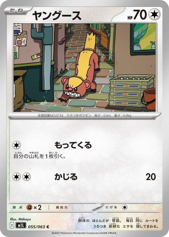 m1L: Mega Brave Yungoos 55
