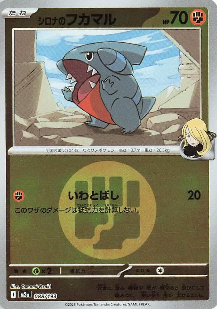 Cynthia's Gible (Energy Symbol Pattern)