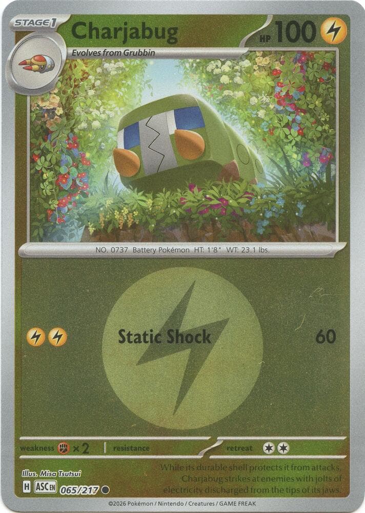 Charjabug (Energy Symbol Pattern)