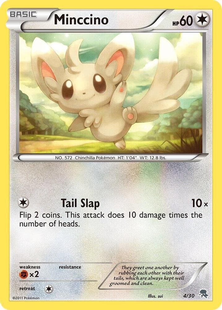 Minccino (#4)