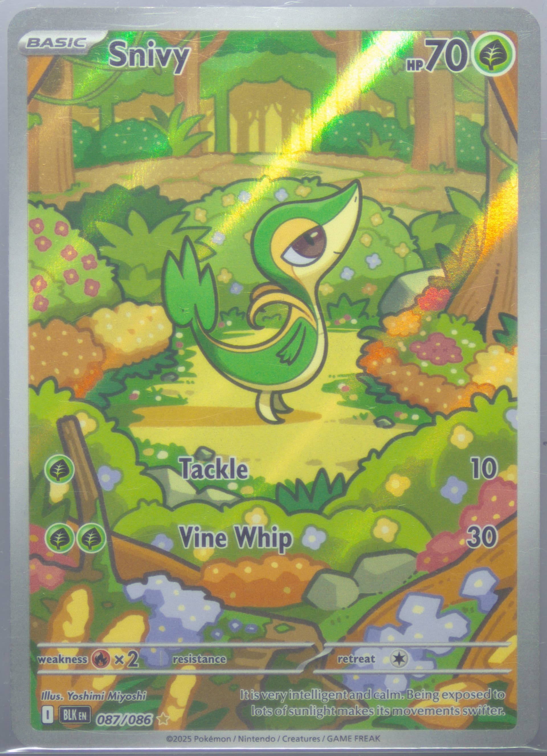 Snivy Illustration Rare (087) 2025 Pokemon Blk EN-Black Bolt