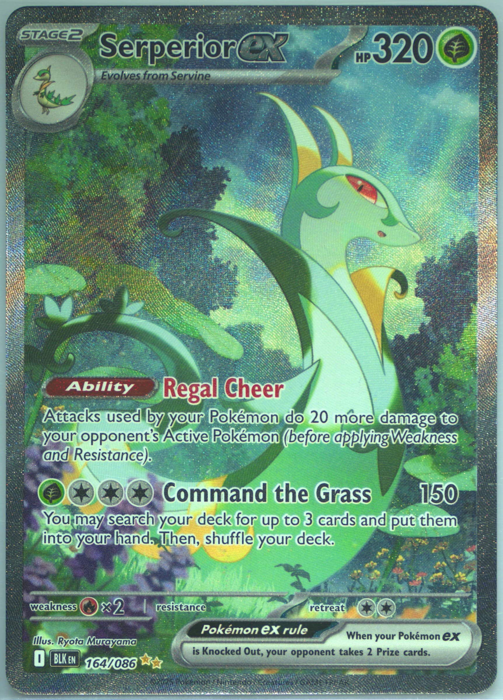 Serperior EX Special Illustration Rare (164) 2025 Pokemon Blk EN-Black Bolt