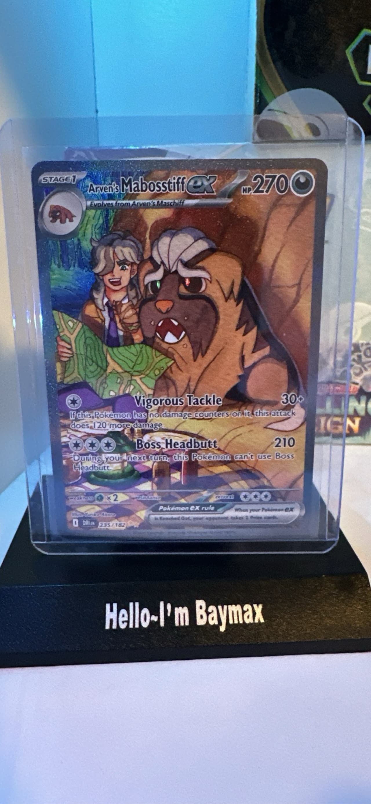 mabosstiff pokemon card value TCG: EX Showcase Box : Toys & Games inch by 9 Pokemon Trading Card Game Destined